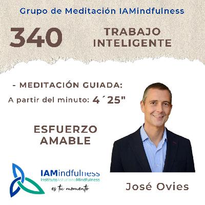 S340 TRABAJO INTELIGENTE - ESFUERZO AMABLE