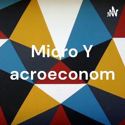 Macro y Microeconomía
