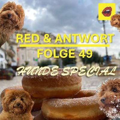 #49 – Ella Special: Alles über unseren neuen Hund