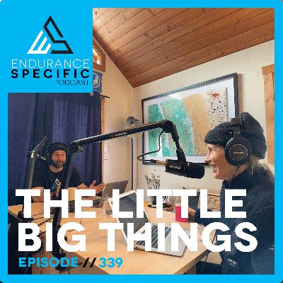 ESP339 - The Little Big Things