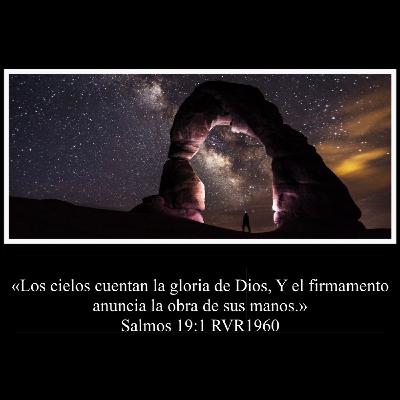 Su Obra Su Obra