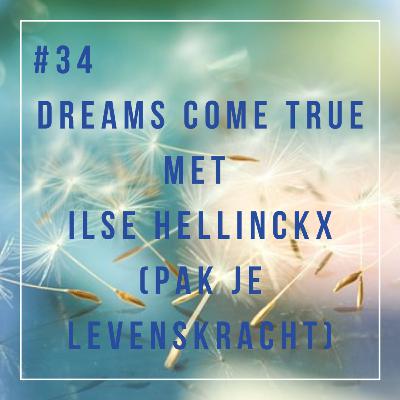 #34_ De val van de gouden kooi_Ilse Hellinckx