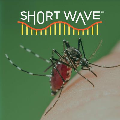 Does It Feel Like Mosquitoes Are Getting Worse?