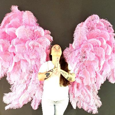 Dangerous Diaries featuring Wendy Pesante Dangerous Diaries featuring Wendy Pesante