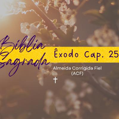 Bíblia Sagrada: Êxodo Cap. 25