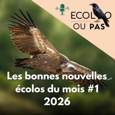 Bonnes nouvelles écologiques – Janvier & Février 2026 : PFAS, viande, biodiversité, transport Bonnes nouvelles écologiques – Janvier & Février 2026 : PFAS, viande, biodiversité, transport