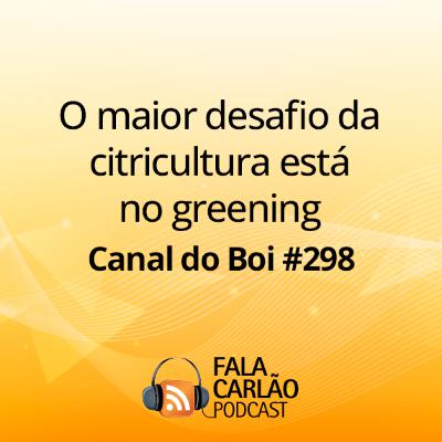 O maior desafio da citricultura está no greening | Canal do Boi #298