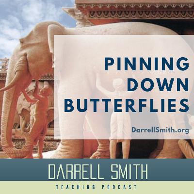 Pinning Down Butterflies Pinning Down Butterflies