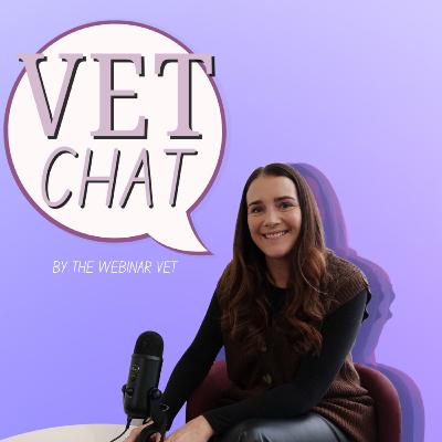 Leading “Like a Girl” – Stacee Santi | VETchat by The Webinar Vet Leading “Like a Girl” – Stacee Santi | VETchat by The Webinar Vet