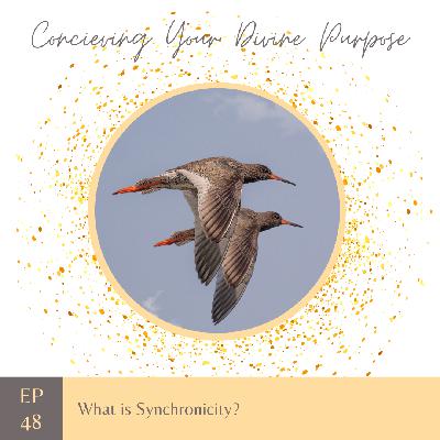 EP 48 What is Synchronicity?