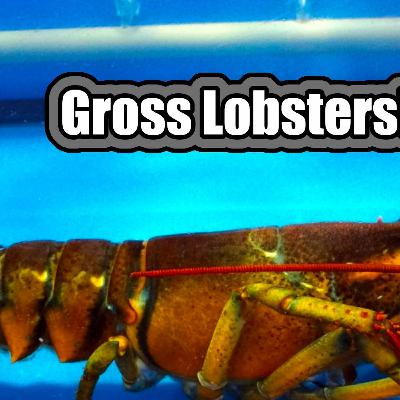 5 Gross Lobster Facts Short 5 Gross Lobster Facts Short