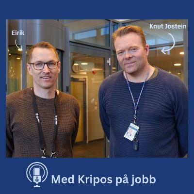 Kryptovaluta og organisert kriminalitet