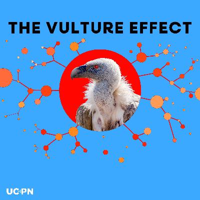Vultures