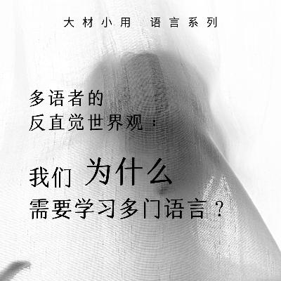 31 多语者的技巧碰撞：我们为什么需要学习多门语言？