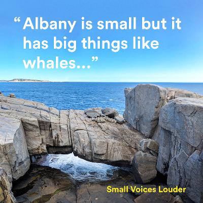 Albany Albany