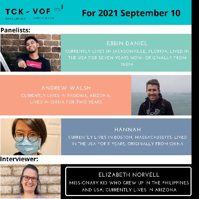 3.1 Third Culture Adults as International Students