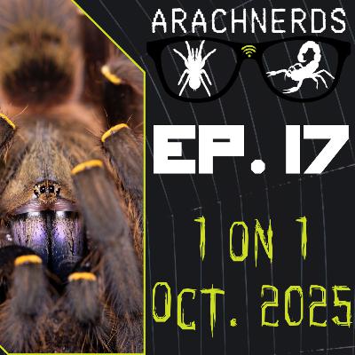 1 on 1 - Oct. 2025 | ArachNerds Ep. 17 1 on 1 - Oct. 2025 | ArachNerds Ep. 17
