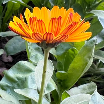 This is life!! Lessons from my understanding.