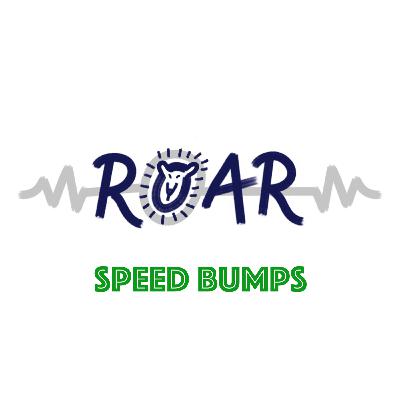 SB13 – Termsoup: Created for Translators by a Translator