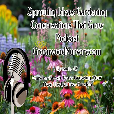 Episode 12 - The Herbal Tea Garden Episode 12 - The Herbal Tea Garden