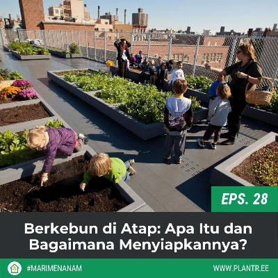MM 28: Berkebun di Atap: Apa Itu dan Bagaimana Menyiapkannya?