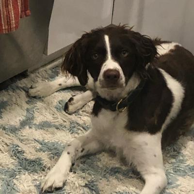 Poop dealer podcast episode 9.5 season 2 listing to the poop dealer podcast at 3 am gone sexual