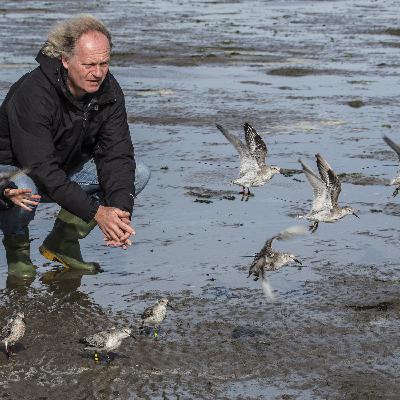 Onze blauwe planeet als Global Flyway. Met trekvogelecoloog Theunis Piersma Onze blauwe planeet als Global Flyway. Met trekvogelecoloog Theunis Piersma