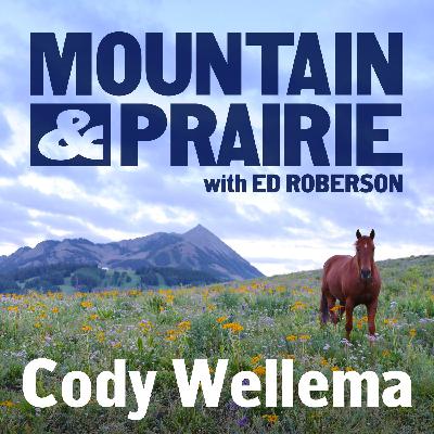 Cody Wellema – After the Fire, Before What’s Next