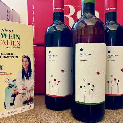 Radio Rebstock#18: Mein Wein Italien - die Italienfolge