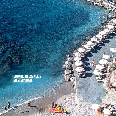 Mastepanova-Organic House Vol.2