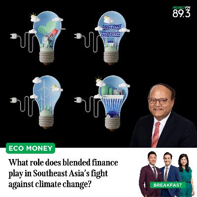 Eco Money: What role does blended finance play in Southeast Asia’s fight against climate change?