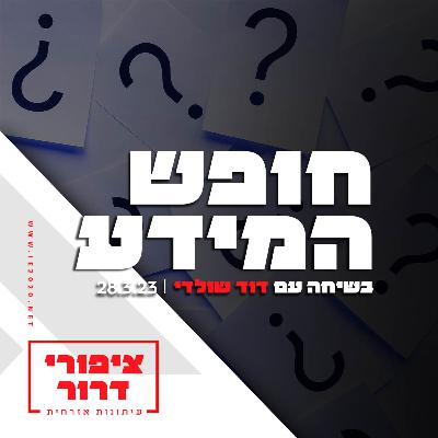 חופש המידע - בשיחה עם דוד שולדי