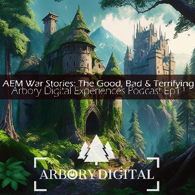 Ep11 - AEM Implementation War Stories - the Good, the Bad and the Terrifying