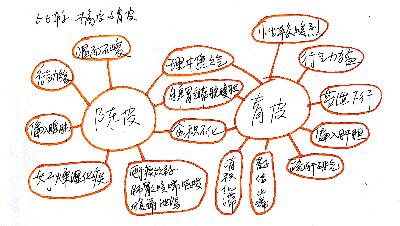 陈皮与青皮的异同
