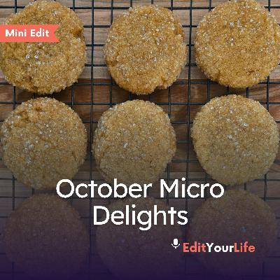 Mini Edit: October Micro Delights