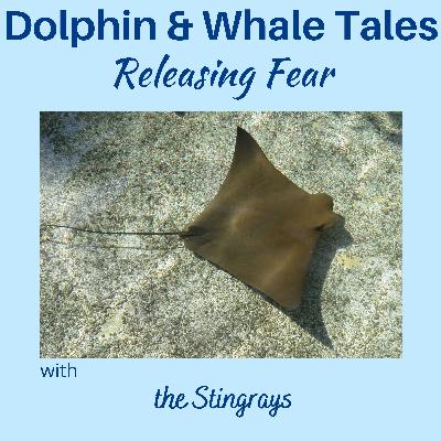 6 Releasing Fear with the Stingrays