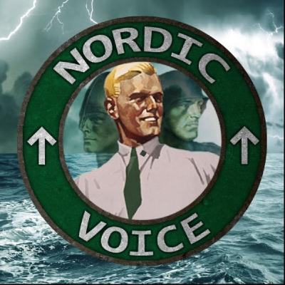 Nordic Voice #7: Street action and movie review