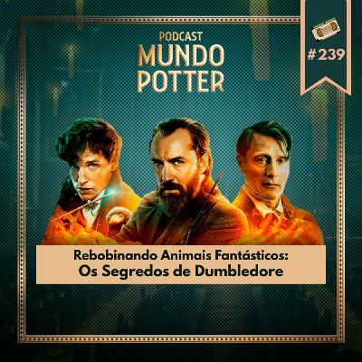 Mundo Potter #239 - Rebobinando Animais Fantásticos: Os Segredos de Dumbledore Mundo Potter #239 - Rebobinando Animais Fantásticos: Os Segredos de Dumbledore
