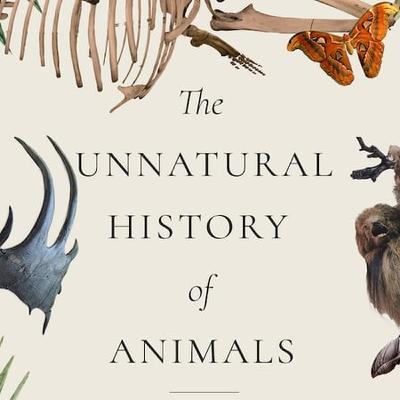 The Unnatural History of Animals: Tales from a Zoological Museum