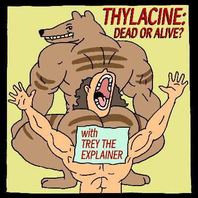 Thylacine: Dead or Alive?