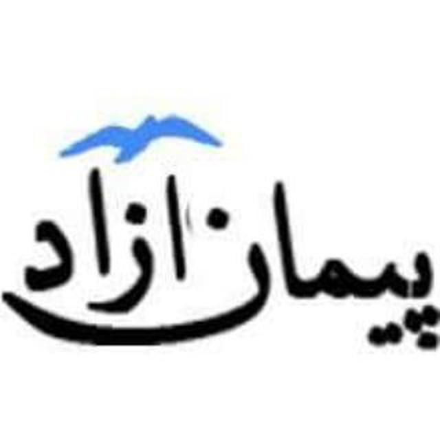 دانشجوی فلسفه و سرگردانی