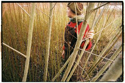 34 - Unravel & Reweave 34 - Unravel & Reweave