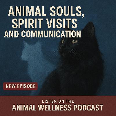 Animal Souls, Spirit Visits and Communication: A Fascinating Chat with Animal Communicator Anne Bourke