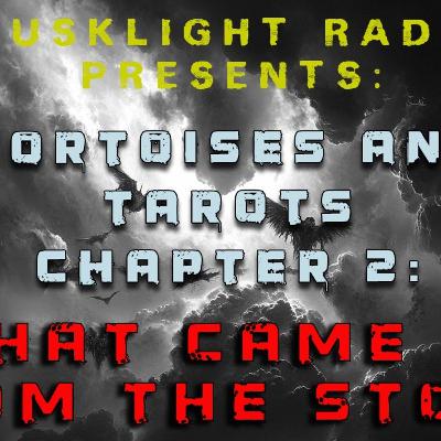 Tortoises and Tarots Chapter 2: What Came In The Storm