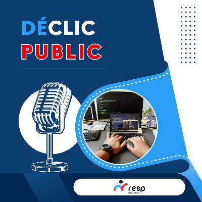 Faissel, contrôleur programmeur des Finances publiques Faissel, contrôleur programmeur des Finances publiques
