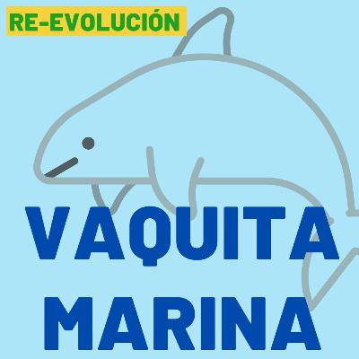 Vaquita Marina y el Estado Mexicano Vaquita Marina y el Estado Mexicano