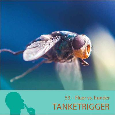 Fluer vs. hunder Fluer vs. hunder