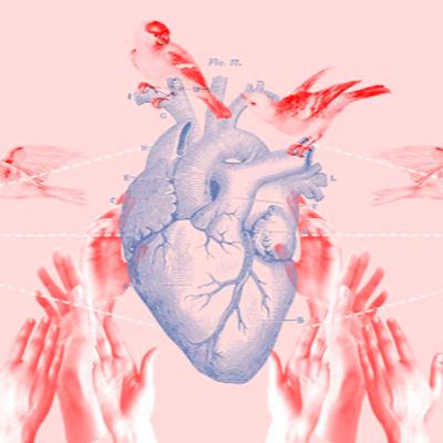 Responsabilidad Afectiva: Hazte cargo de tus actos!