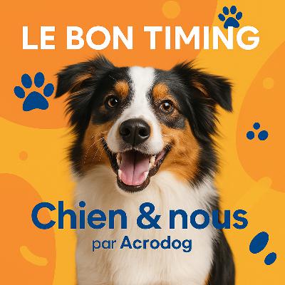 Le bon timing : la clé pour bien récompenser son chien / Chiens & Nous par Acrodog