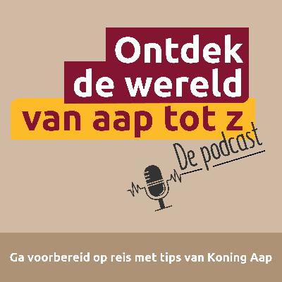 Ontdek de wereld van aap tot z #12 – Marokko: van souks tot woestijnnachten